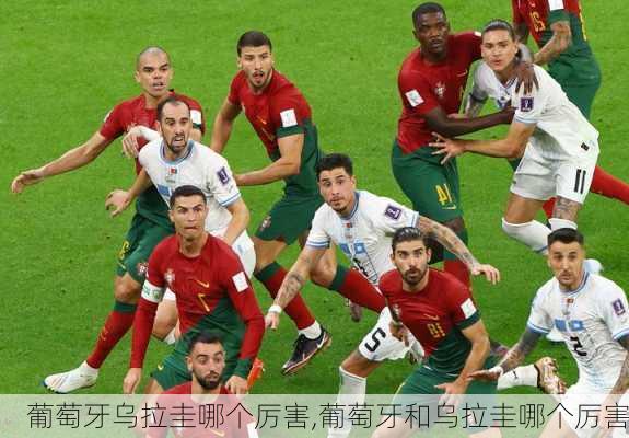 葡萄牙乌拉圭哪个厉害,葡萄牙和乌拉圭哪个厉害
