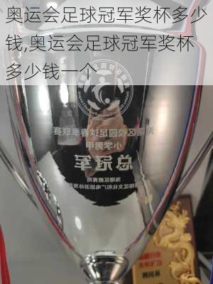奥运会足球冠军奖杯多少钱,奥运会足球冠军奖杯多少钱一个