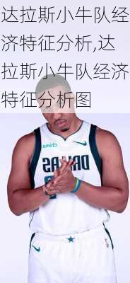 达拉斯小牛队经济特征分析,达拉斯小牛队经济特征分析图