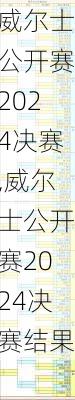 威尔士公开赛2024决赛,威尔士公开赛2024决赛结果