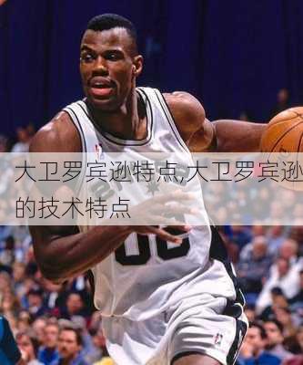 大卫罗宾逊特点,大卫罗宾逊的技术特点