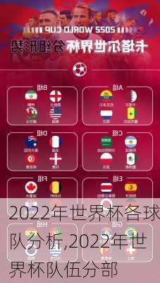 2022年世界杯各球队分析,2022年世界杯队伍分部