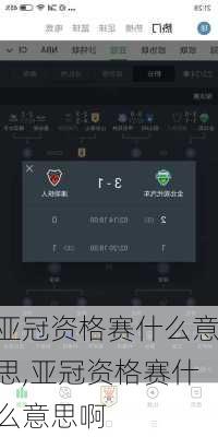 亚冠资格赛什么意思,亚冠资格赛什么意思啊
