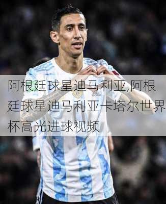 阿根廷球星迪马利亚,阿根廷球星迪马利亚卡塔尔世界杯高光进球视频