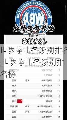 世界拳击各级别排名,世界拳击各级别排名榜