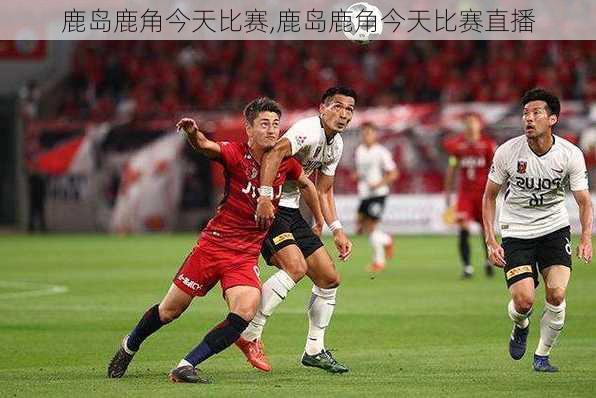 鹿岛鹿角今天比赛,鹿岛鹿角今天比赛直播