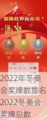 2022年冬奥会奖牌数排名,2022冬奥会奖牌总数