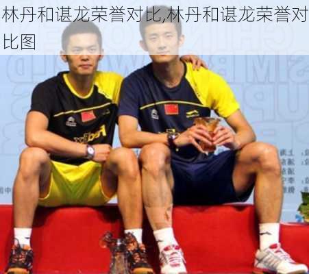 林丹和谌龙荣誉对比,林丹和谌龙荣誉对比图