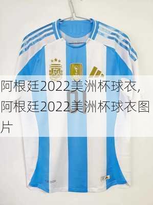 阿根廷2022美洲杯球衣,阿根廷2022美洲杯球衣图片