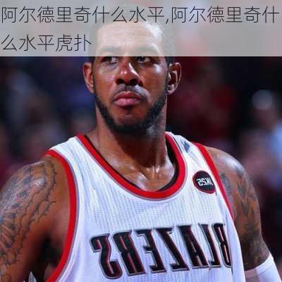 阿尔德里奇什么水平,阿尔德里奇什么水平虎扑