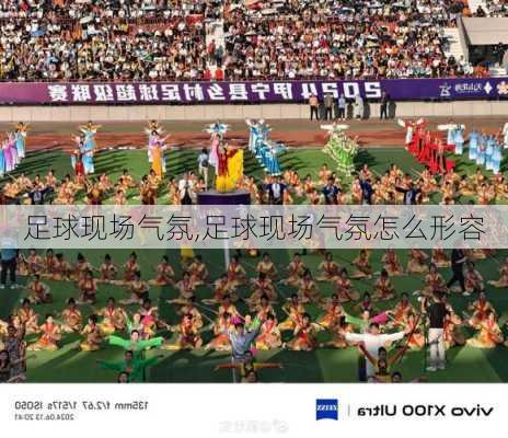 足球现场气氛,足球现场气氛怎么形容