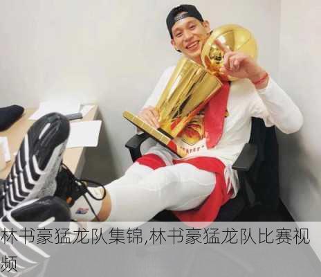 林书豪猛龙队集锦,林书豪猛龙队比赛视频