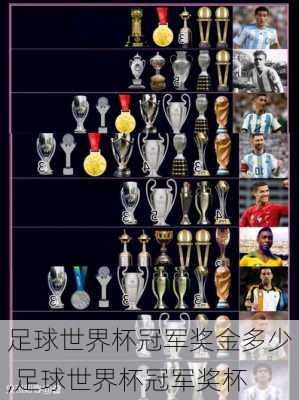 足球世界杯冠军奖金多少,足球世界杯冠军奖杯