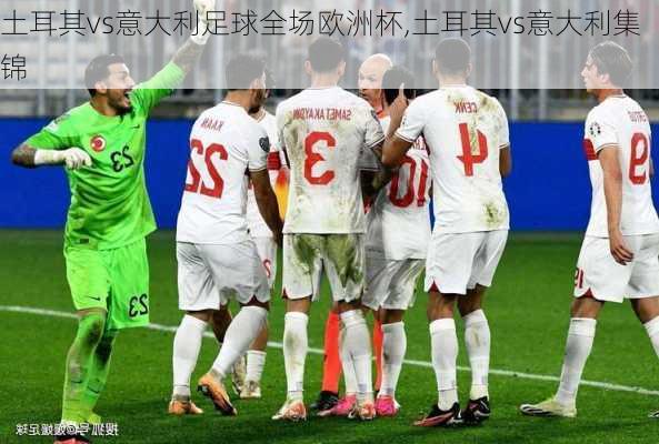 土耳其vs意大利足球全场欧洲杯,土耳其vs意大利集锦