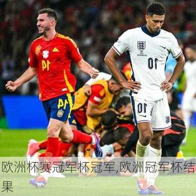 欧洲杯赛冠军杯冠军,欧洲冠军杯结果
