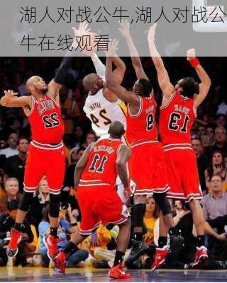 湖人对战公牛,湖人对战公牛在线观看