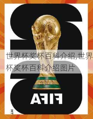 世界杯奖杯百科介绍,世界杯奖杯百科介绍图片