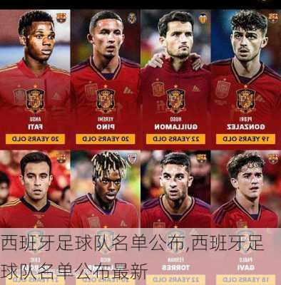 西班牙足球队名单公布,西班牙足球队名单公布最新