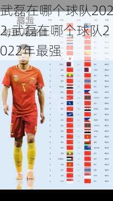 武磊在哪个球队2022,武磊在哪个球队2022年最强