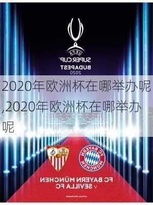 2020年欧洲杯在哪举办呢,2020年欧洲杯在哪举办呢