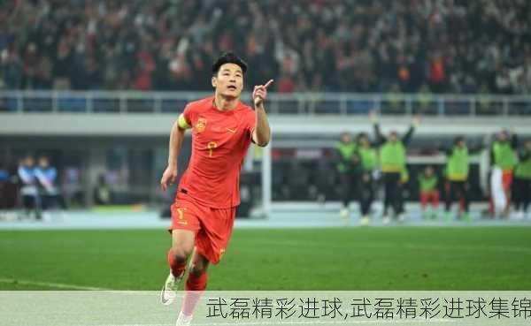 武磊精彩进球,武磊精彩进球集锦