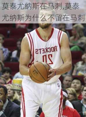 莫泰尤纳斯在马刺,莫泰尤纳斯为什么不留在马刺