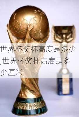 世界杯奖杯高度是多少,世界杯奖杯高度是多少厘米