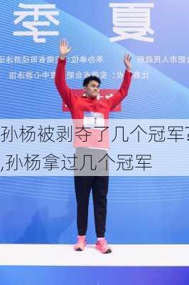 孙杨被剥夺了几个冠军?,孙杨拿过几个冠军