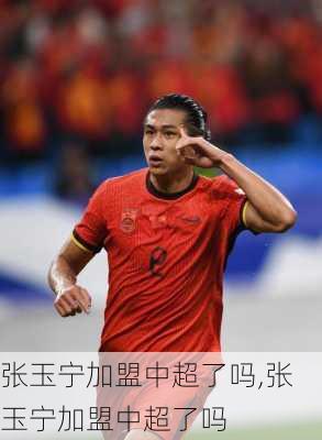 张玉宁加盟中超了吗,张玉宁加盟中超了吗