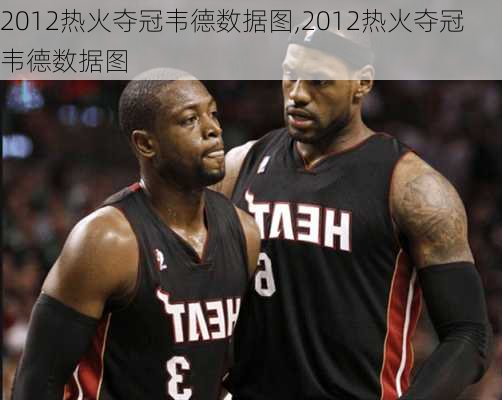 2012热火夺冠韦德数据图,2012热火夺冠韦德数据图