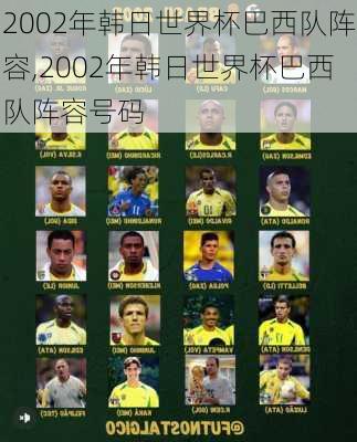 2002年韩日世界杯巴西队阵容,2002年韩日世界杯巴西队阵容号码