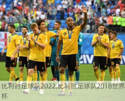 比利时足球队2022,比利时足球队2018世界杯