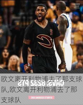 欧文离开利物浦去了那支球队,欧文离开利物浦去了那支球队