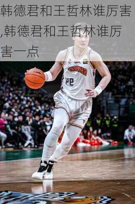 韩德君和王哲林谁厉害,韩德君和王哲林谁厉害一点