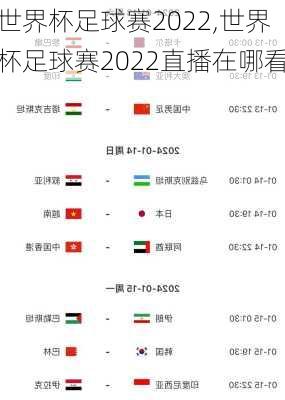 世界杯足球赛2022,世界杯足球赛2022直播在哪看