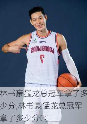 林书豪猛龙总冠军拿了多少分,林书豪猛龙总冠军拿了多少分啊