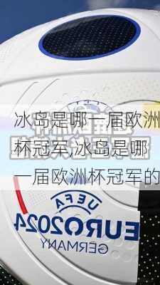 冰岛是哪一届欧洲杯冠军,冰岛是哪一届欧洲杯冠军的