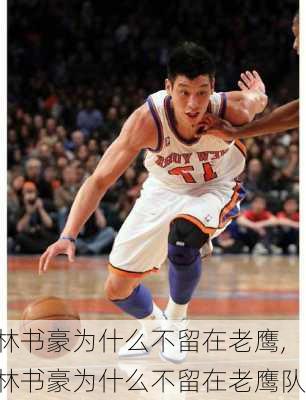 林书豪为什么不留在老鹰,林书豪为什么不留在老鹰队