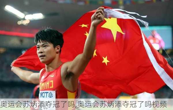 奥运会苏炳添夺冠了吗,奥运会苏炳添夺冠了吗视频