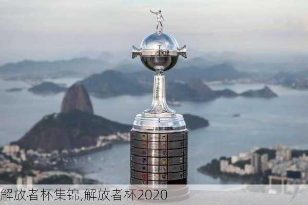 解放者杯集锦,解放者杯2020