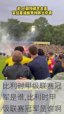 比利时甲级联赛冠军是谁,比利时甲级联赛冠军是谁啊