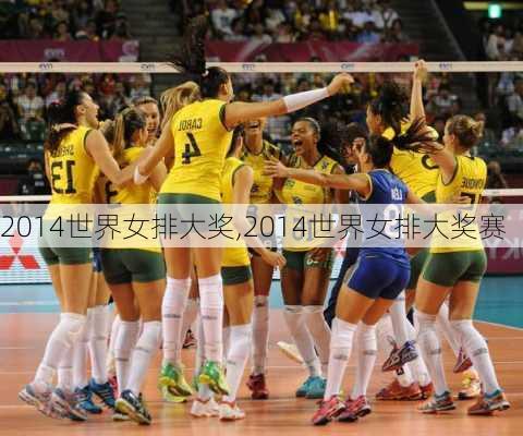 2014世界女排大奖,2014世界女排大奖赛