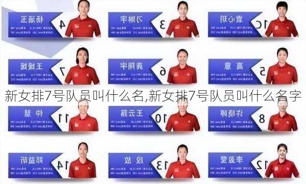 新女排7号队员叫什么名,新女排7号队员叫什么名字