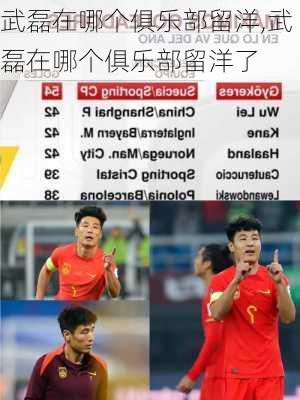 武磊在哪个俱乐部留洋,武磊在哪个俱乐部留洋了