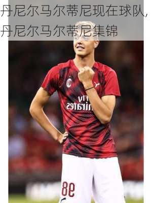 丹尼尔马尔蒂尼现在球队,丹尼尔马尔蒂尼集锦