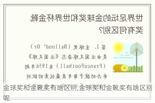 金球奖和金靴奖有啥区别,金球奖和金靴奖有啥区别呢