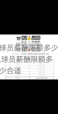 球员薪酬限额多少,球员薪酬限额多少合适
