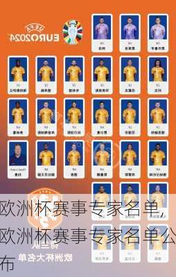 欧洲杯赛事专家名单,欧洲杯赛事专家名单公布