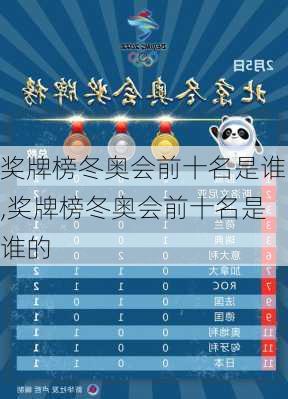 奖牌榜冬奥会前十名是谁,奖牌榜冬奥会前十名是谁的