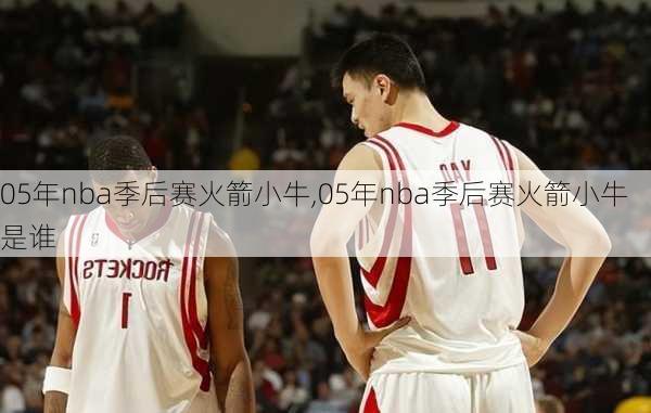 05年nba季后赛火箭小牛,05年nba季后赛火箭小牛是谁